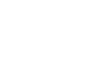 standard party course plan