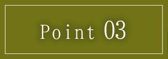 Point 03